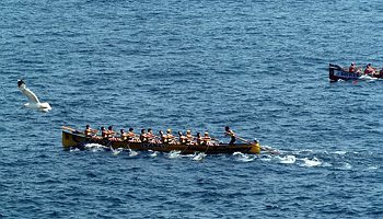 Fotografía propiedad de: CRO Orio AE Foto de la regata