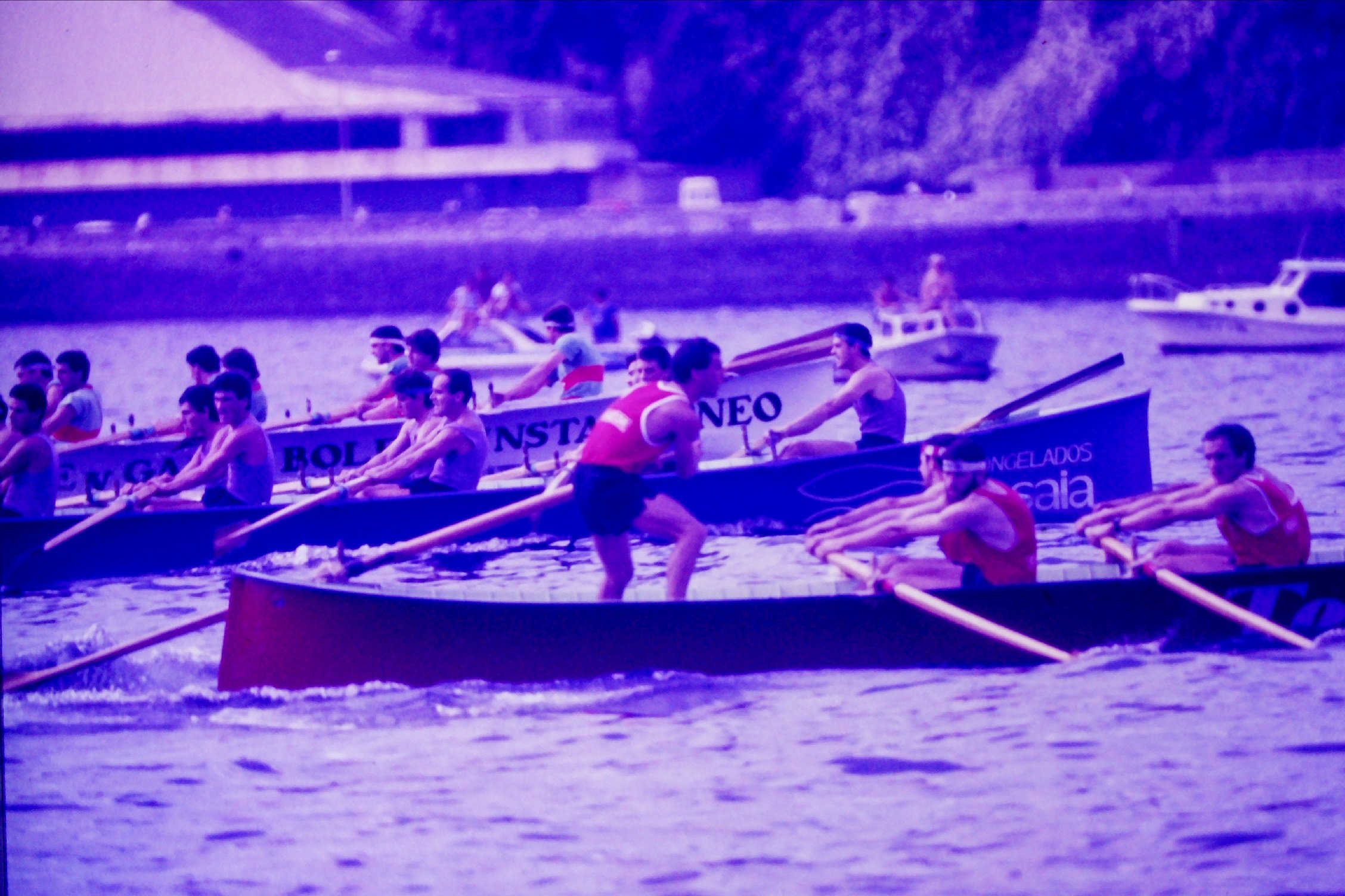 Fotografía propiedad de: JJ Camacho Foto de la regata